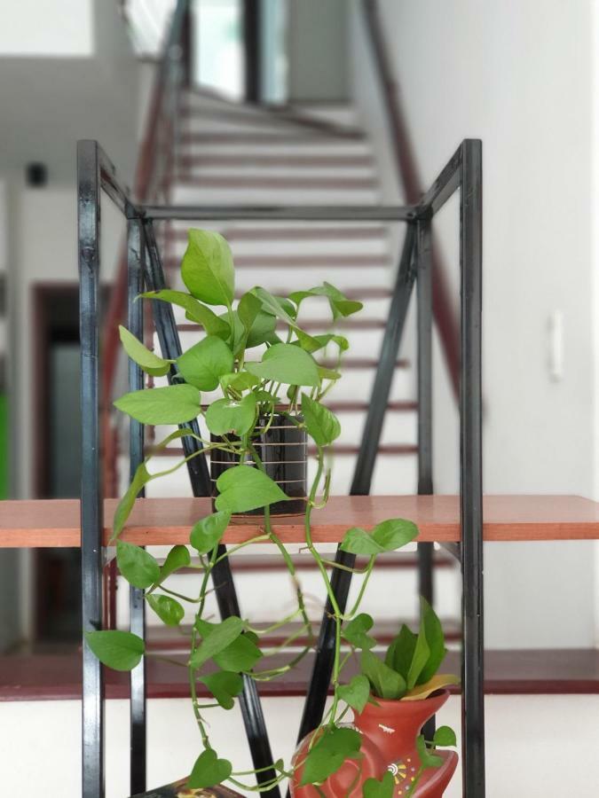 T P House 3 Apartment Son Tra Ngoại thất bức ảnh