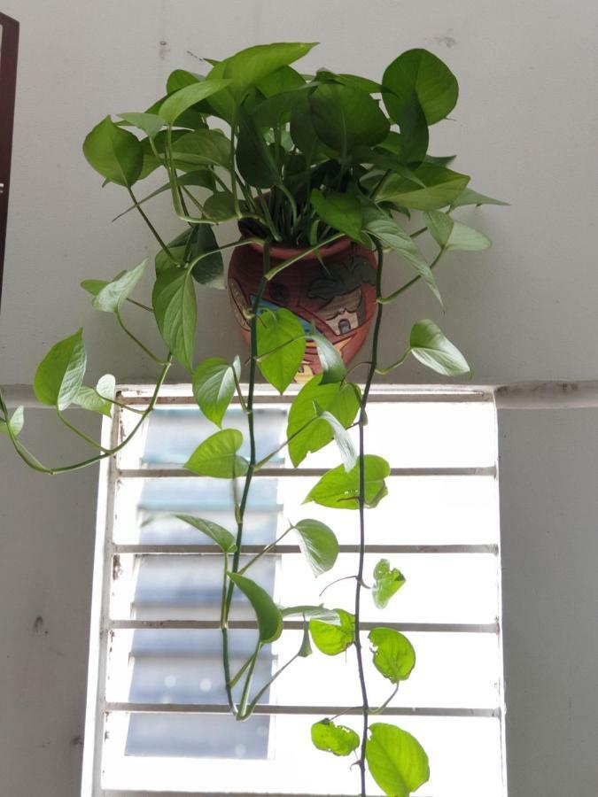 T P House 3 Apartment Son Tra Ngoại thất bức ảnh